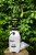 Opryskiwacz ciśnieniowy 8l EXP STALCO GARDEN